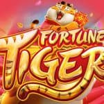 Seru dan Menguntungkan Main Fortune Tiger di OLE777