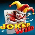 Seru dan Gampang Menang di Joker Wild PG Soft!